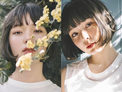 シエカ(CIECA.)の写真