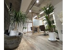 エンチ(ENCI)