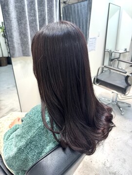 サロンワン(Salon1) ダークラベンダー