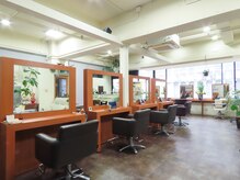 フォノ(fonoh)の雰囲気（自然光が入り、観葉植物のある落ち着いた店内になっています。）