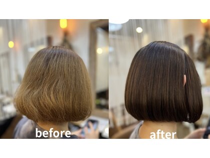 クオリア(QUALIA)の写真