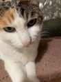 ヴァンセン(vincennes) 看板猫【未来ちゃん】がお待ちしてます♪
