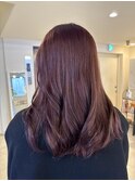 【春トレンド】ピンクラベンダー