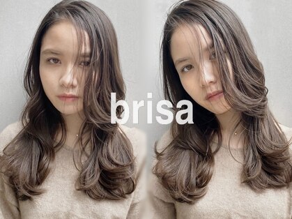 ブリッサ(brisa)の写真