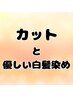 カットと、頭皮と髪に優しい 【ハーブorオーガニック】 白髪染め ￥10,750