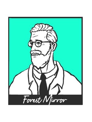 フォレストミラー(Forest Mirror)