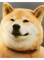 ケーキル(Ke:KiL) 柴ちゃん♪飼いたいけど我慢です(涙)