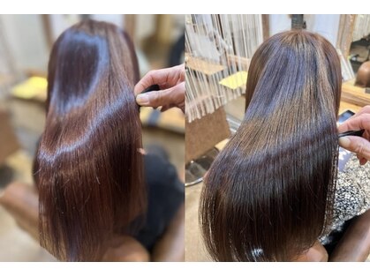 クオリア(QUALIA)の写真