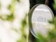 シーナ(sina)の写真