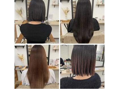 ハクボタン(hakubotan)の写真