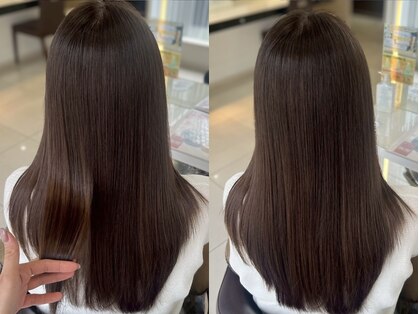 フィッツ(Fits)の写真