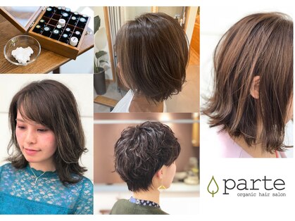 パルテ(parte)の写真