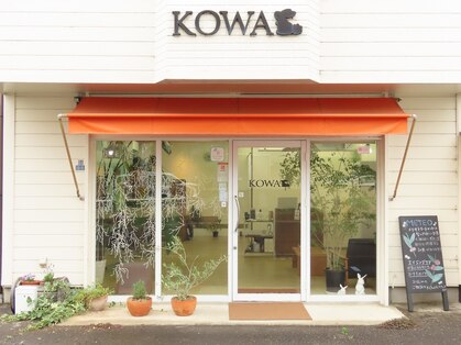 コワ(KOWA)の写真