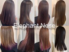 Elephant Nose【エレファントノーズ】