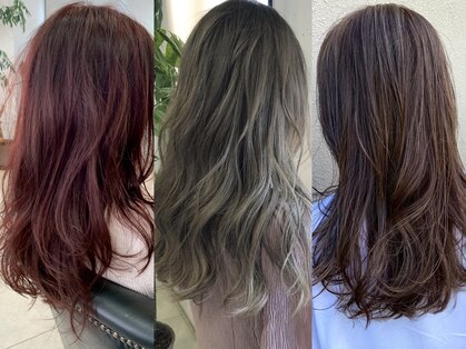 アーカイブ(archive)の写真