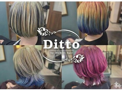 ディト(Ditto)の写真
