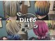 ディト(Ditto)の写真
