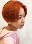 アプリコットハンサムショート