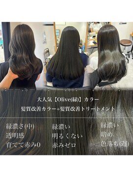 カノエ 亀岡篠店(canoe) オリーブカラー