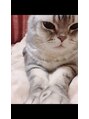 ソワン ド ブランシュ ライフ 八戸ノ里店(Soin de Blanche LIFE) 愛おし過ぎる猫様♪♪保護猫HOMEでボランティア始めました^_^