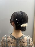 シニヨン