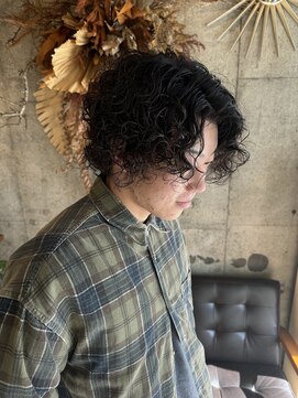 アイズム(I’sm) poodle parm