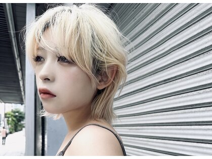 イマ(ima)の写真