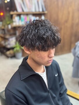 ロルド シェリ(Rold Cheri) 【山本智文】ハードツイストスパイラルパーママッシュ