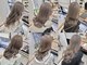 ビリーフメル 京橋店(be'leef.mel)の写真/【京橋】一人ひとりに合うヘアスタイル提案、豊富な薬剤とヘアケアにとことんこだわり、理想が叶う◎