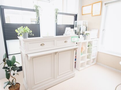 ジッタ(jitta)の写真