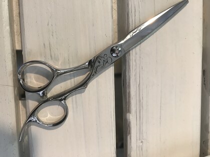 シュプリームディーワン(supreme D1)の写真