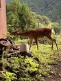 ファミリア(familiar) トレッキングにハマってます♪