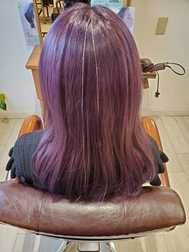 オンリー ヘア(ONLY HAIR) パープルカラー