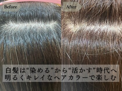 アビイロード(ABBEY-ROAD)の写真