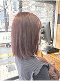 ピンクラベンダー