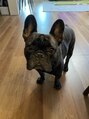 ヘアーデザインアンドボディーメイク R&nbsp;愛犬