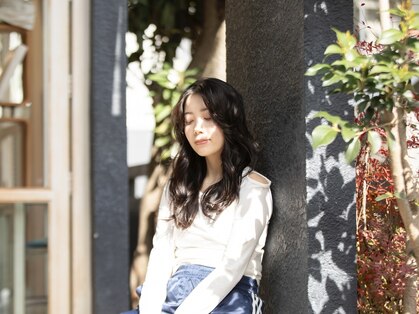 ロライマ 代官山(roraima)の写真