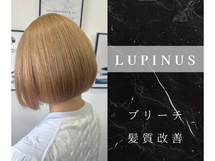 ヘアデザイン ルピナス(HAIR DESIGN Lupinus)の写真