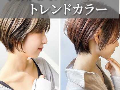 フィットンチッドの写真