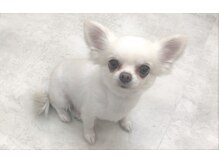 【Q&A】指名はできますか？