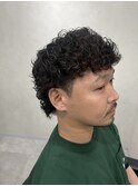 マレットヘアー