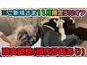 【11月限定5%オフ】○頭皮診断あり○【長めの頭皮調整&肩マッサージ】60分