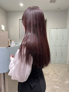 ダイアモンドリリー(Diamond Lily) ボルドー