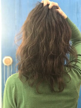 ラッシュグラス(Rush grass) エアリーミディアム