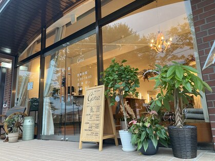 ジーナ(gina)の写真