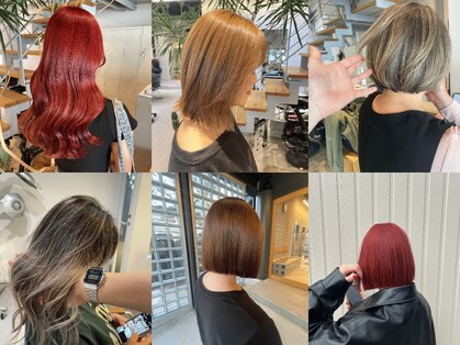 アディクト(ADDICT)の写真