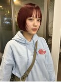 ボルドーミニボブ