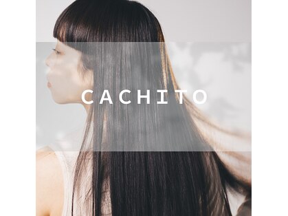 カチート(CACHITO)の写真