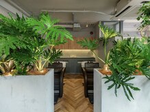 カーメラ(CAMERA)の雰囲気（植物に囲まれた自然の温もりを感じられる店内☆）
