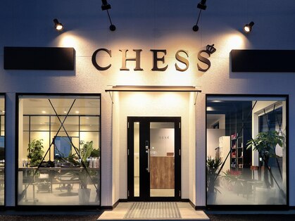 チェス(CHESS)の写真